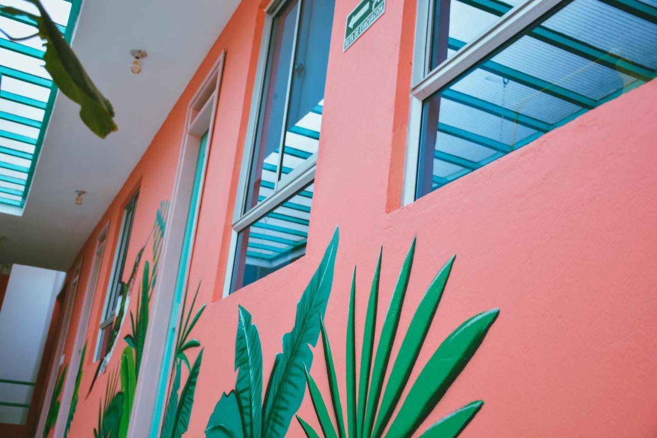 Flamingo Hostel & Coworking Санта-Марта Екстер'єр фото