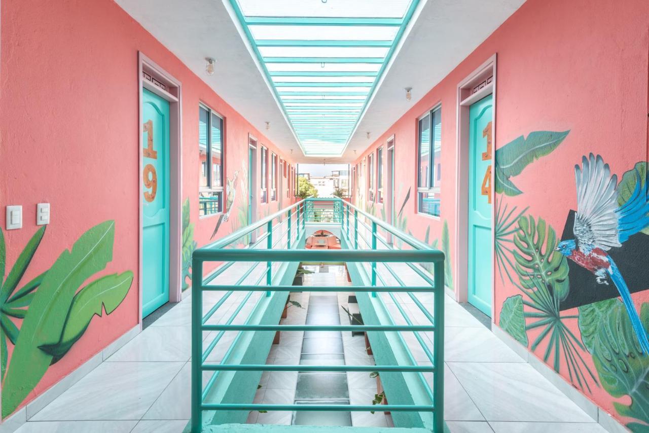 Flamingo Hostel & Coworking Санта-Марта Екстер'єр фото