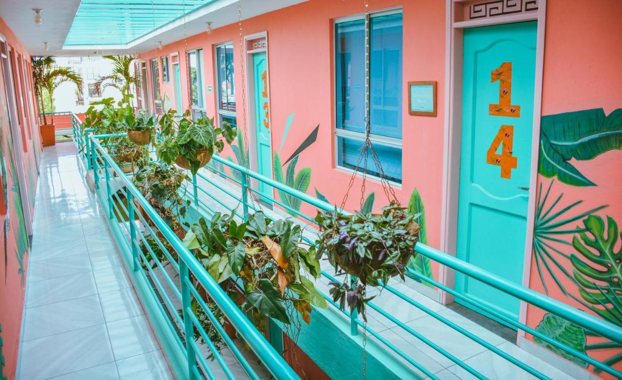 Flamingo Hostel & Coworking Санта-Марта Екстер'єр фото