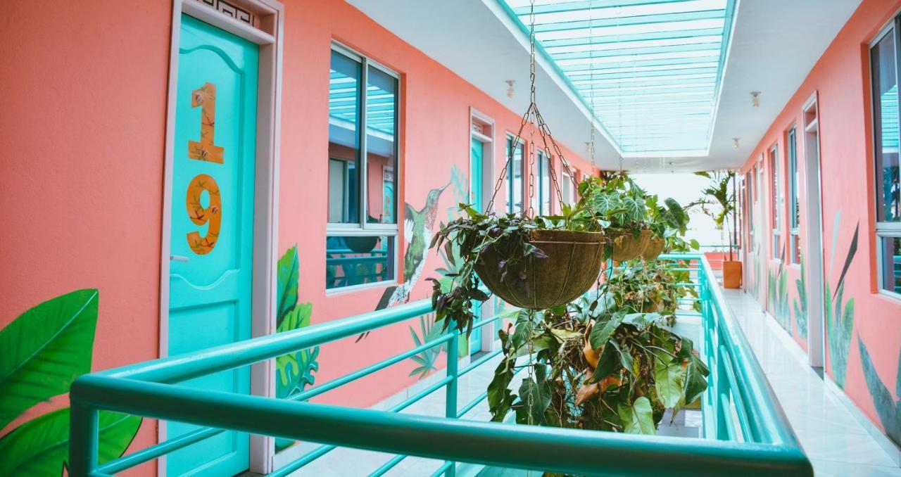 Flamingo Hostel & Coworking Санта-Марта Екстер'єр фото