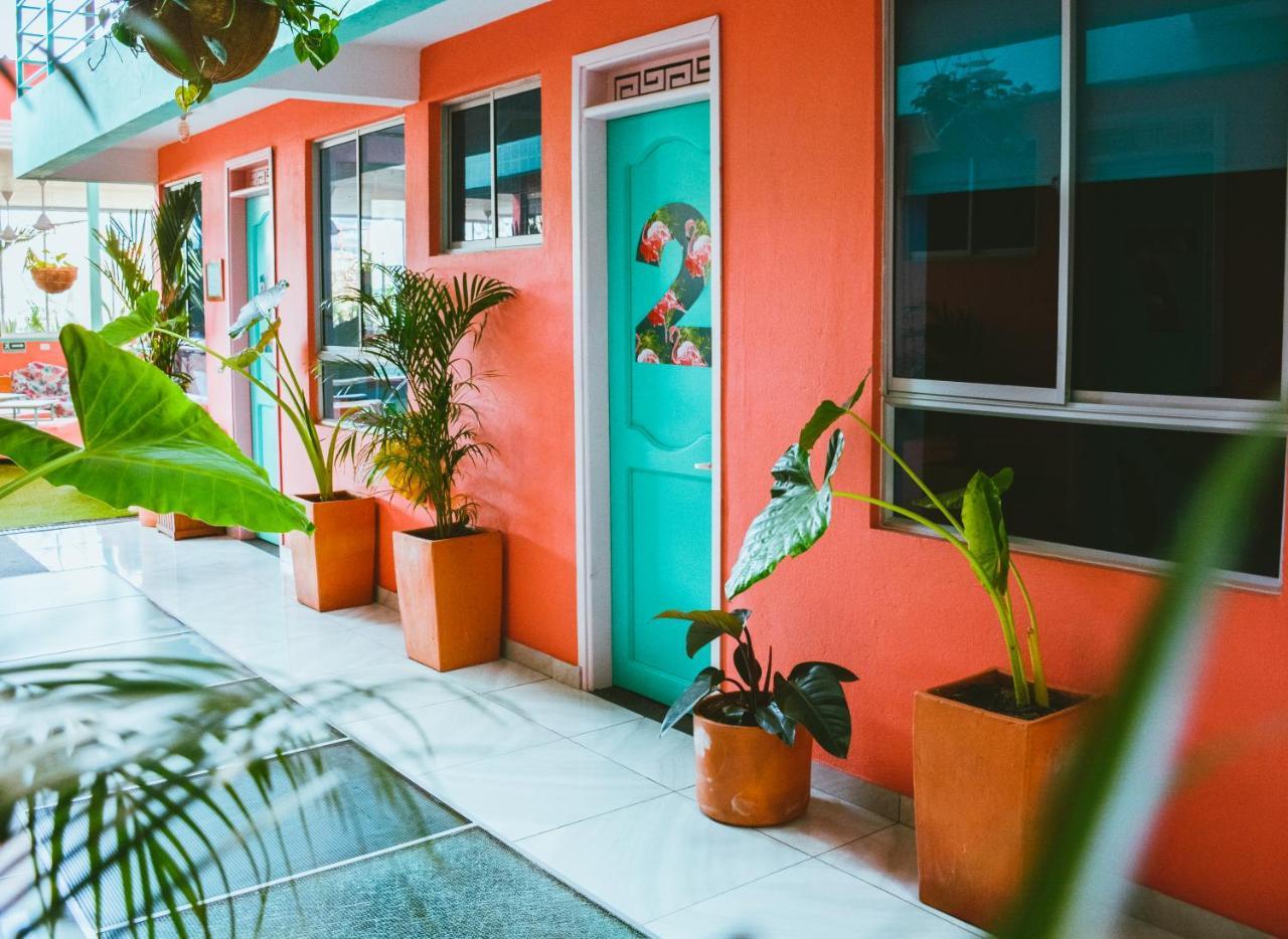 Flamingo Hostel & Coworking Санта-Марта Екстер'єр фото