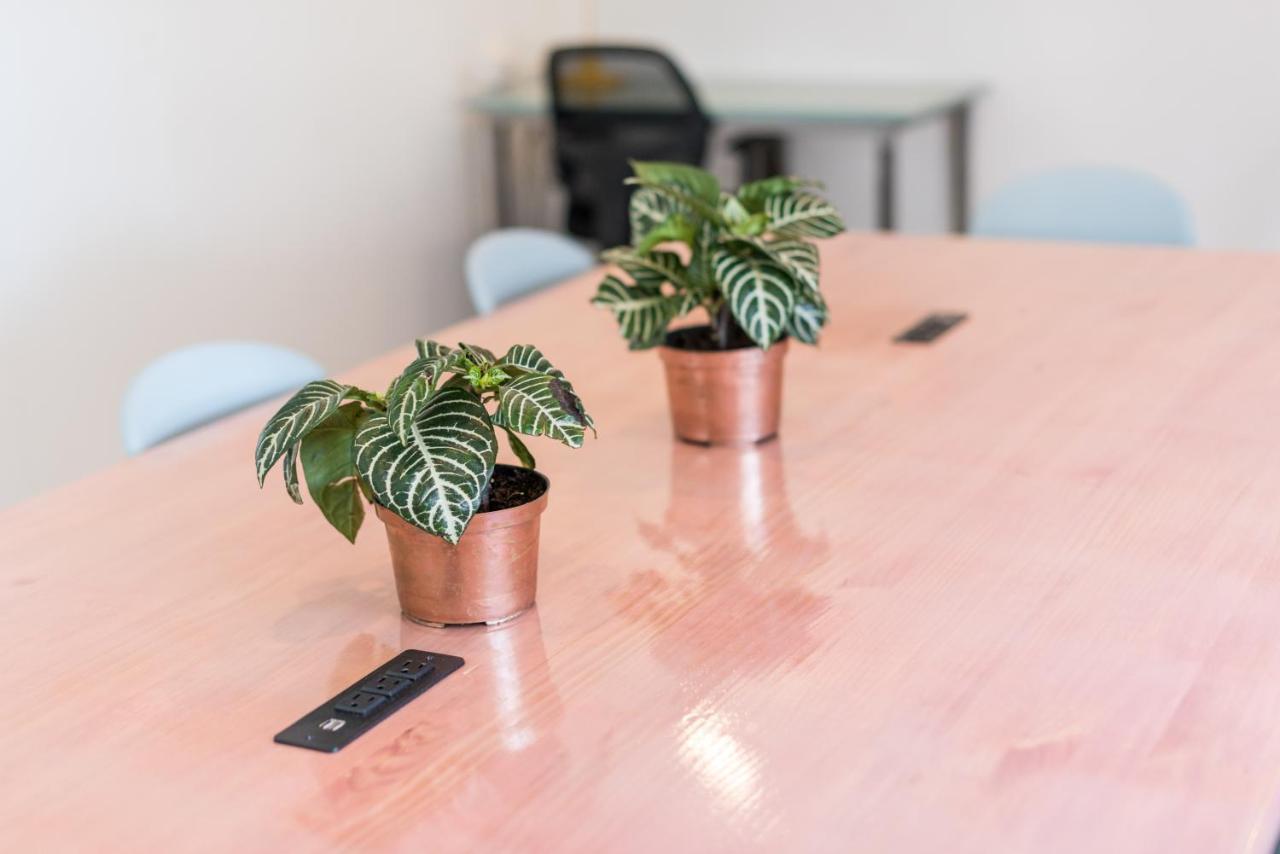 Flamingo Hostel & Coworking Санта-Марта Екстер'єр фото